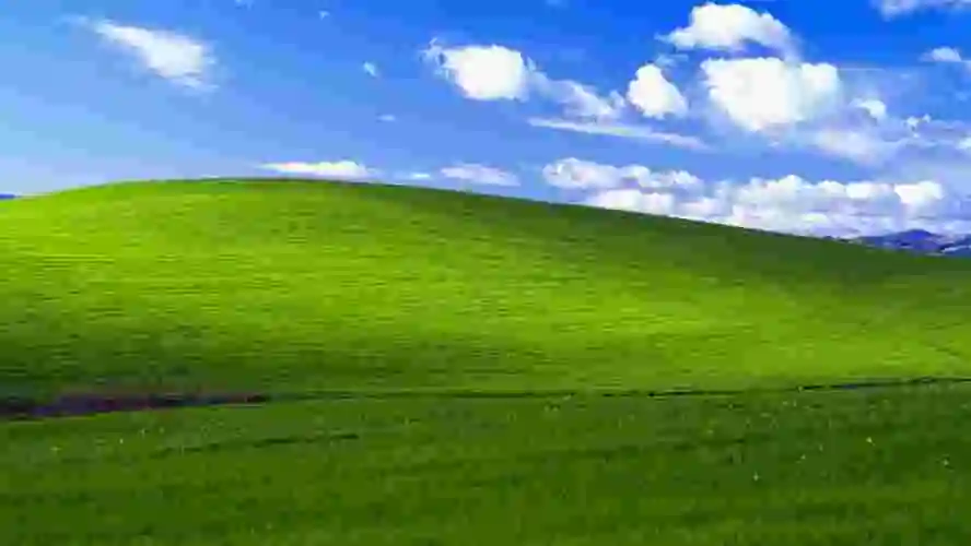 winxp